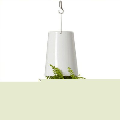 Favorite Things Barrett Studio Architects