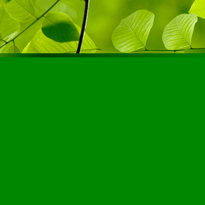 What Does Green Mean