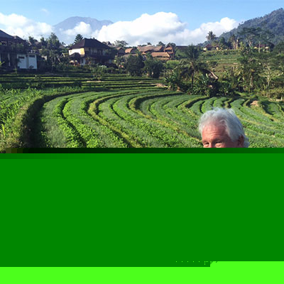 Balinese Heaven