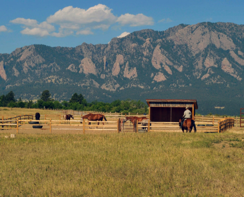 Riding on the Range