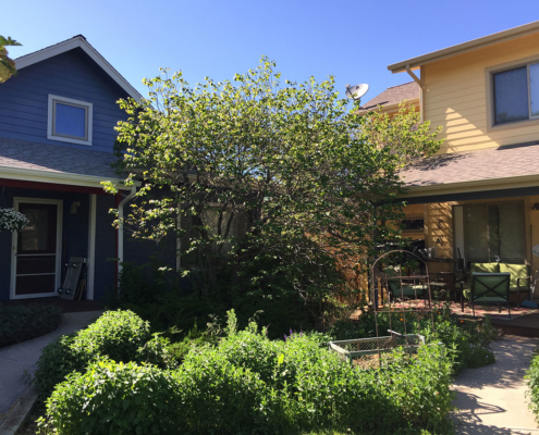 Greyrock Commons Cohousing